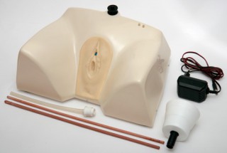 Тренажер Медиус Т7 для катетеризации мочевого пузыря (женский)